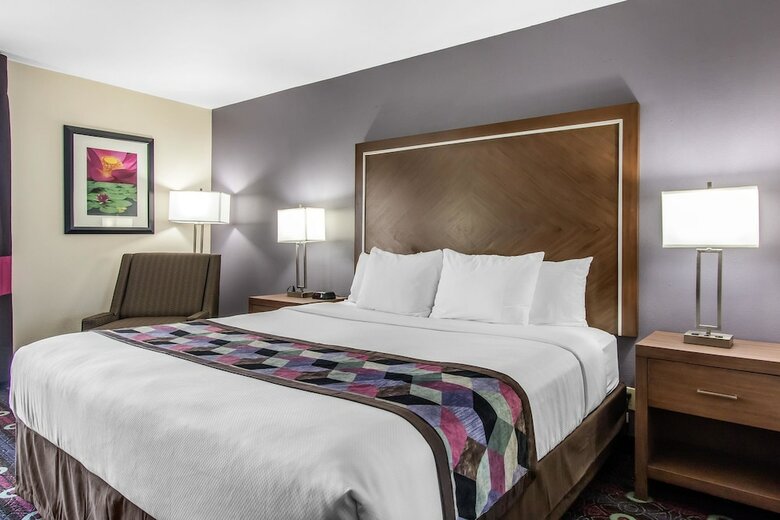 Hotel Comfort Inn Midtown