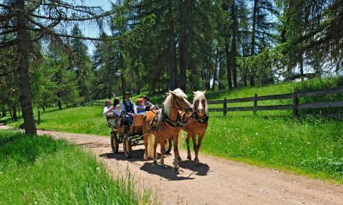 Hotel Tsch�gglbergerhof