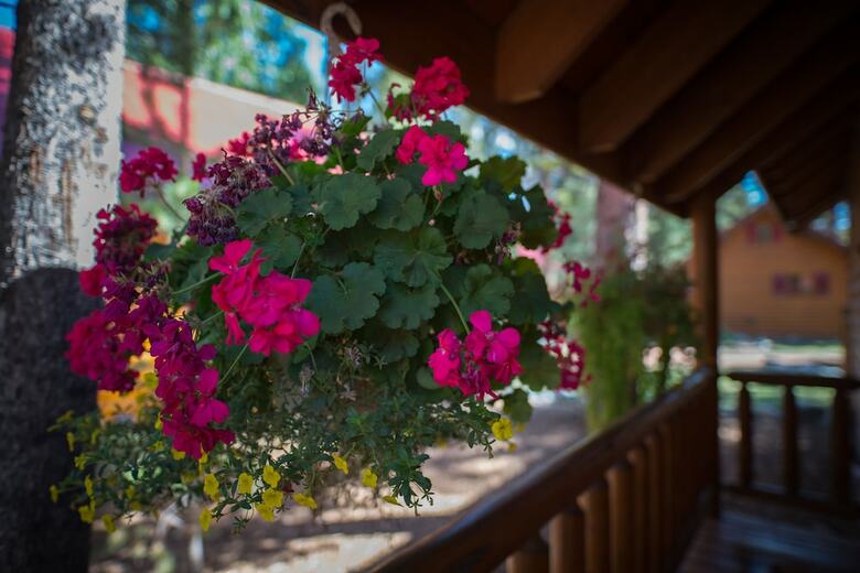 Hotel Baker Creek Mountain Resort