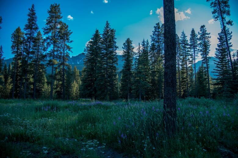 Hotel Baker Creek Mountain Resort