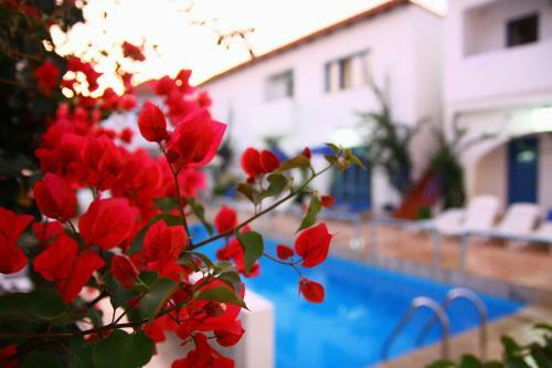 Aparthotel Iliana Hotel
