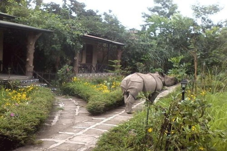 Posada Chitwan Gaida Lodge