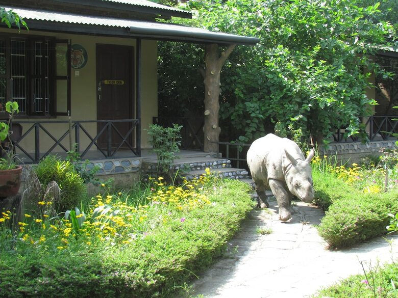 Posada Chitwan Gaida Lodge
