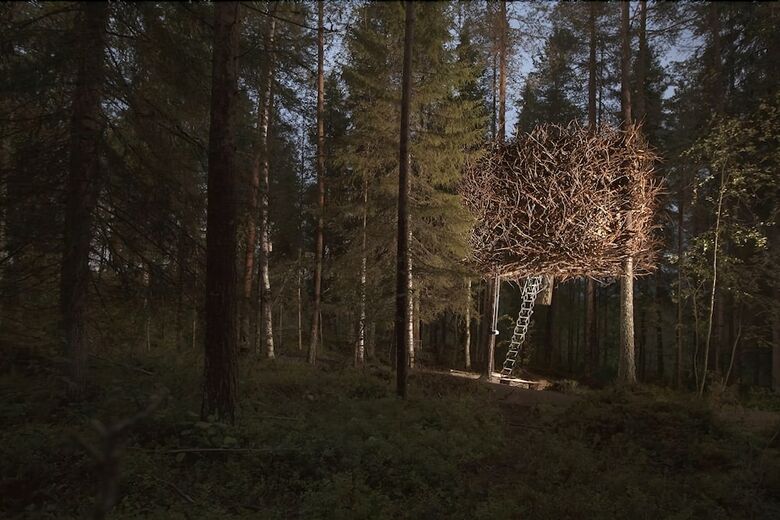 Cabana Tree Hotel