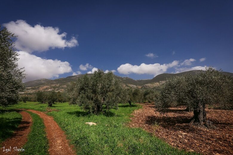 Hotel Kibbutz Moran-guest Accommodations