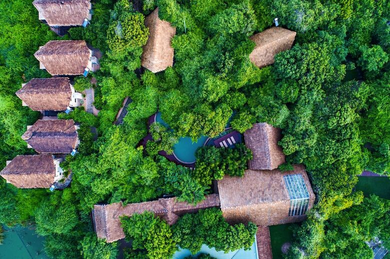 Apartamento Jungle Beach By Uga Escapes