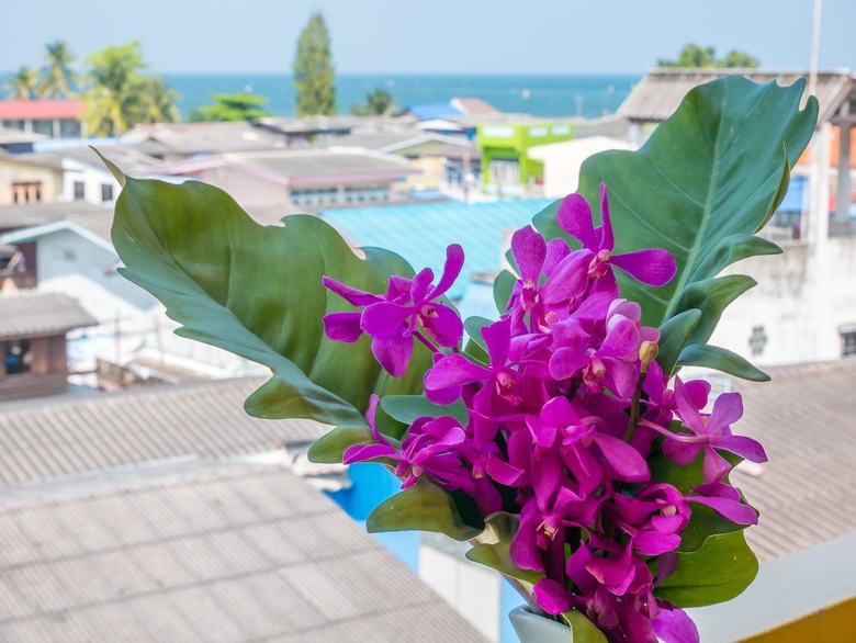 Chomsin Hua Hin Hotel