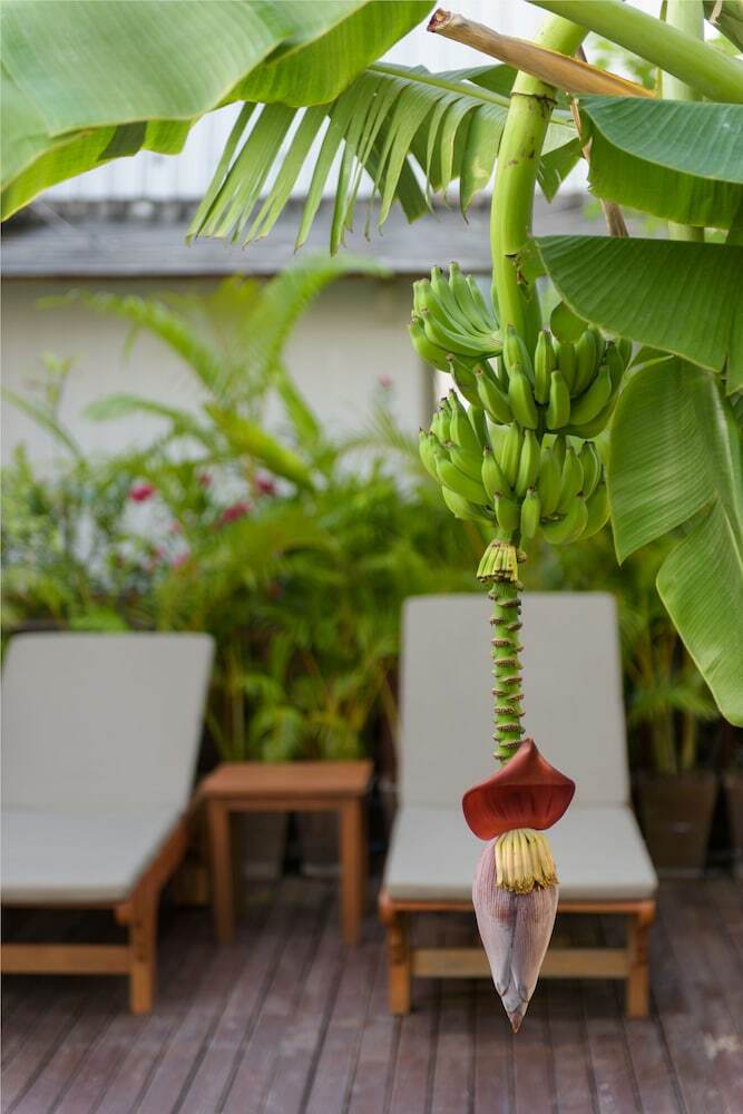 Apartamentos Sabai Sathorn