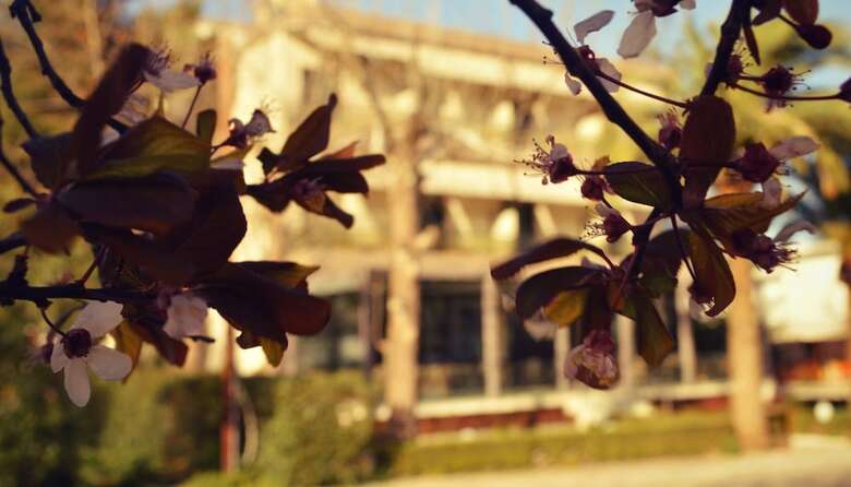 Alexakis Hotel & Spa