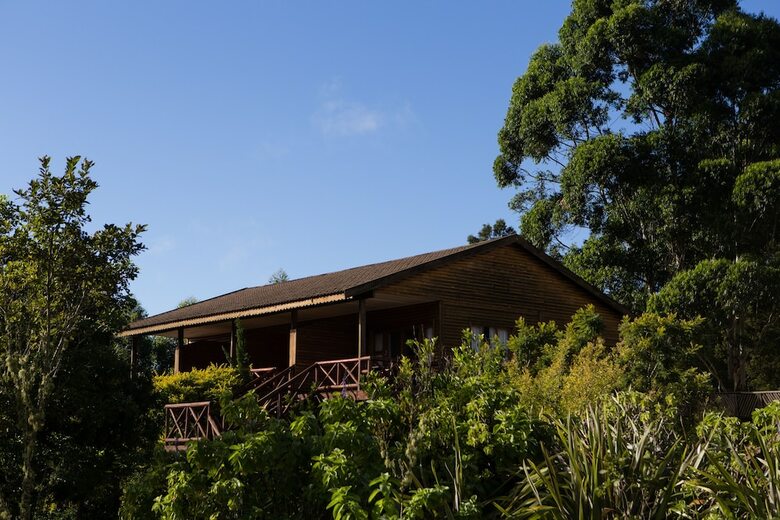 Posada Anew Resort Ingeli Forest