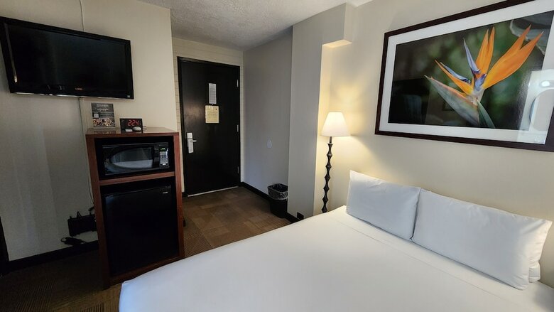 Stay Hotel Waikiki