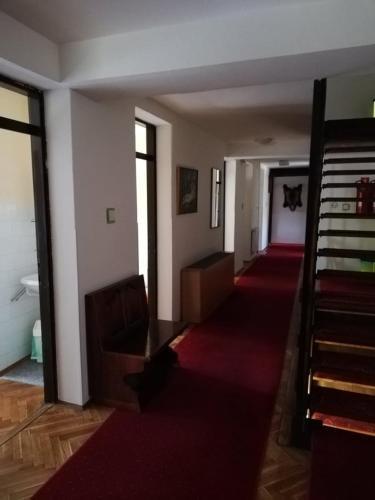 Bed & Breakfast Guesthouse Arnika