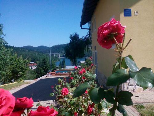 Apartment Julija 2