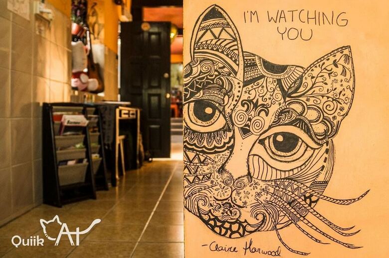 Hotel Quiikcat Guesthouse