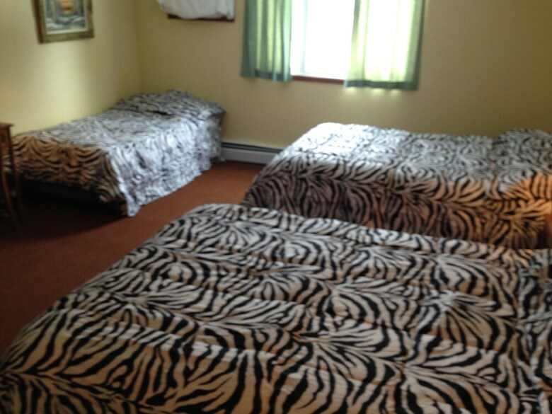 Motel Englehart Inn