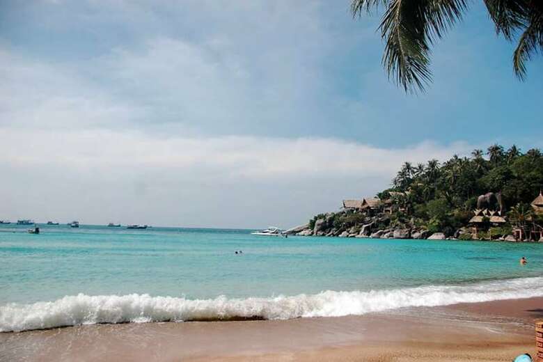 Apartamento Palm Leaf Resort