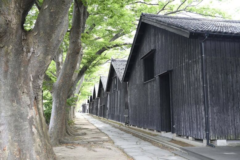Hotel Kyukamura Shonai-haguro