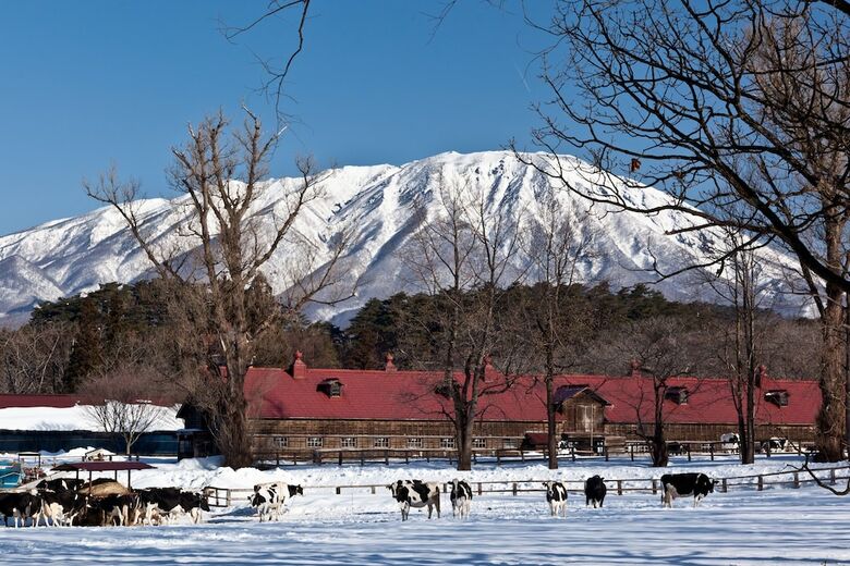 Hotel Kyukamura Iwate-amiharionsen