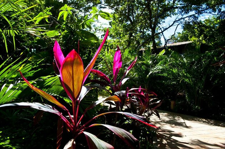 Hotel Sombra E Agua Fresca Spa