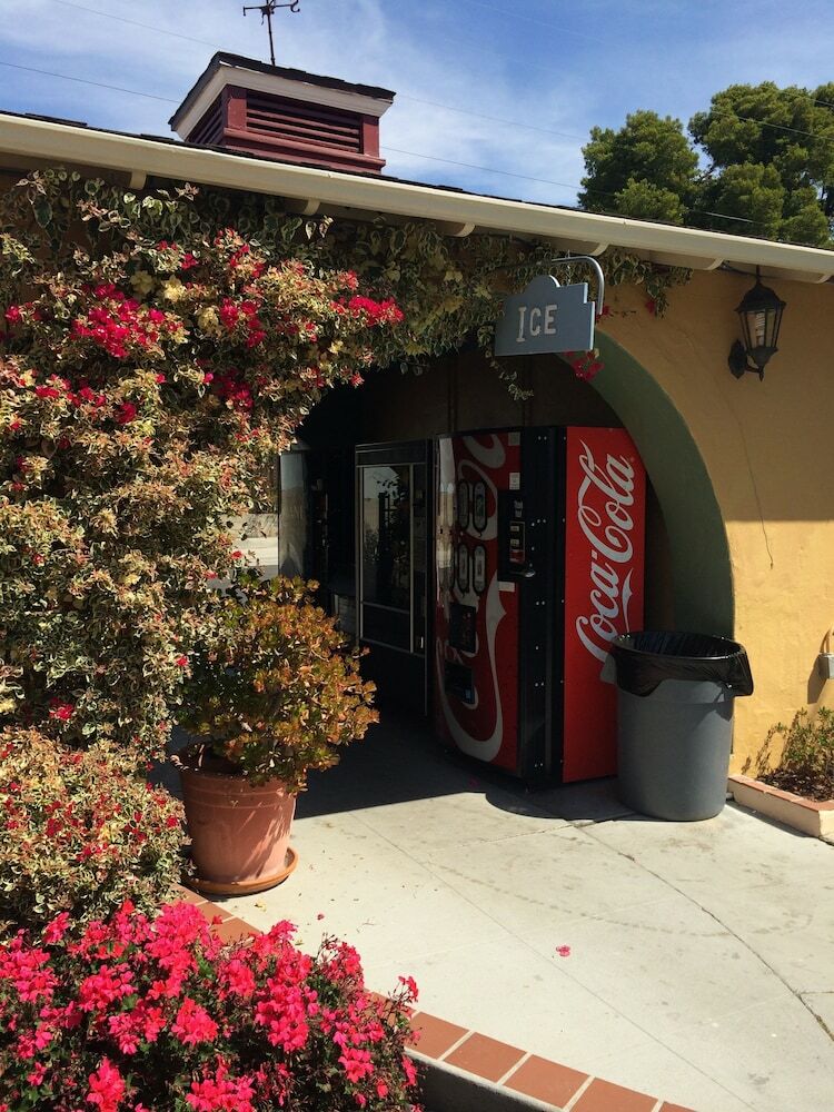 Motel Oasis Inn & Suites