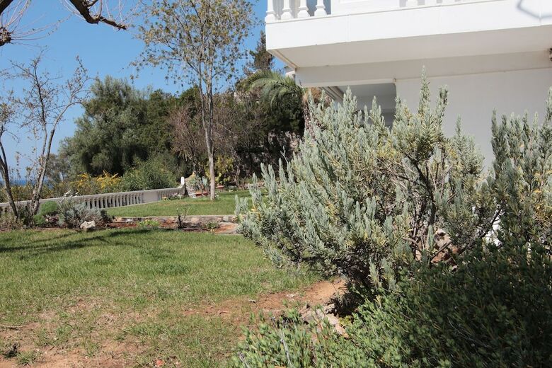 Apollon Apartments