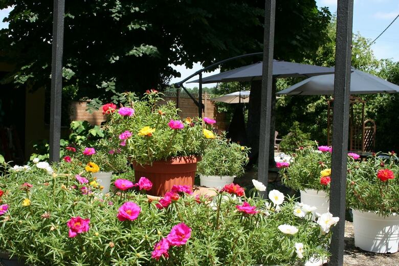 Apartamento Residence Alle Scuole