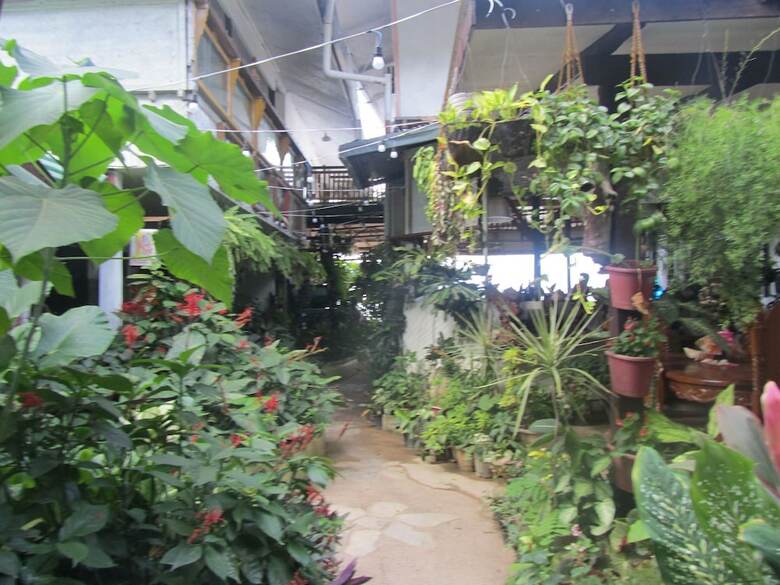 Hotel Islandfront Cottages