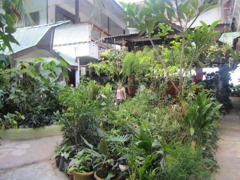 Hotel Islandfront Cottages