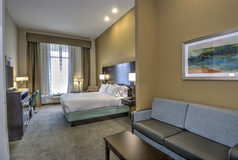 Hotel Holiday Inn Express & Suites Austin South