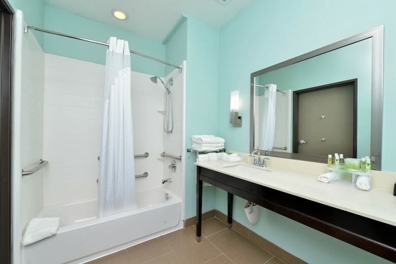 Hotel Holiday Inn Express & Suites Austin South