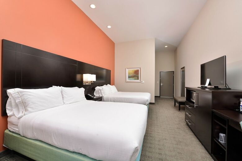 Hotel Holiday Inn Express & Suites Austin South