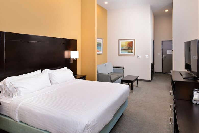 Hotel Holiday Inn Express & Suites Austin South