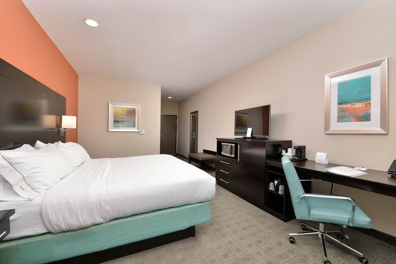 Hotel Holiday Inn Express & Suites Austin South