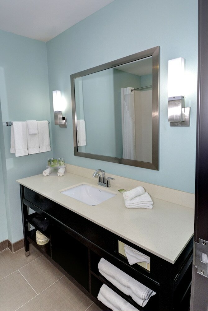 Hotel Holiday Inn Express & Suites Austin South