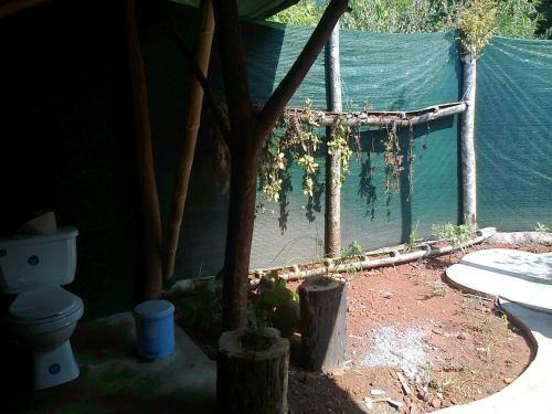 Isla Violin Eco-lodge