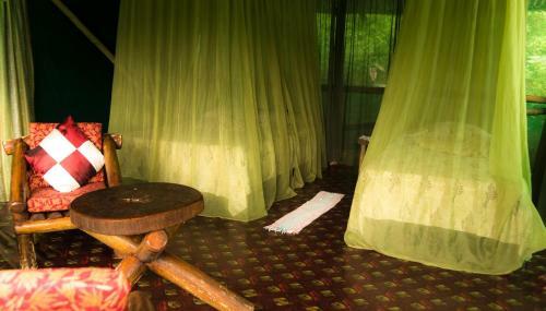 Isla Violin Eco-lodge