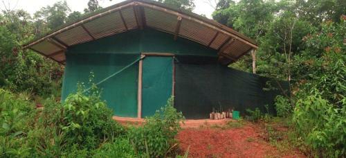 Isla Violin Eco-lodge