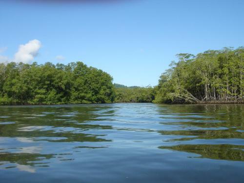 Isla Violin Eco-lodge