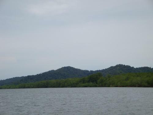 Isla Violin Eco-lodge