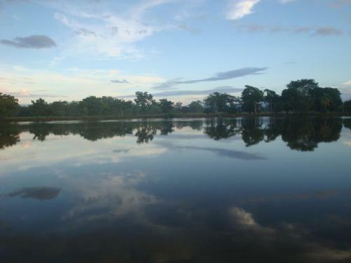 Isla Violin Eco-lodge