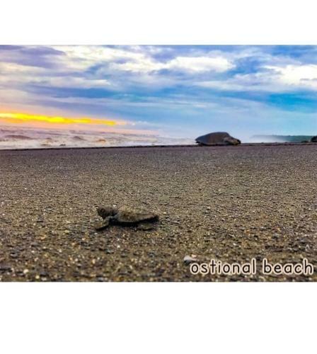 Agroturismo Cabinas Arribadas