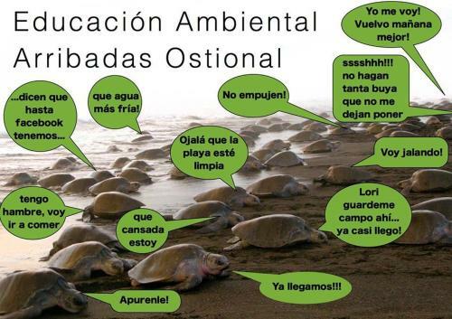Agroturismo Cabinas Arribadas