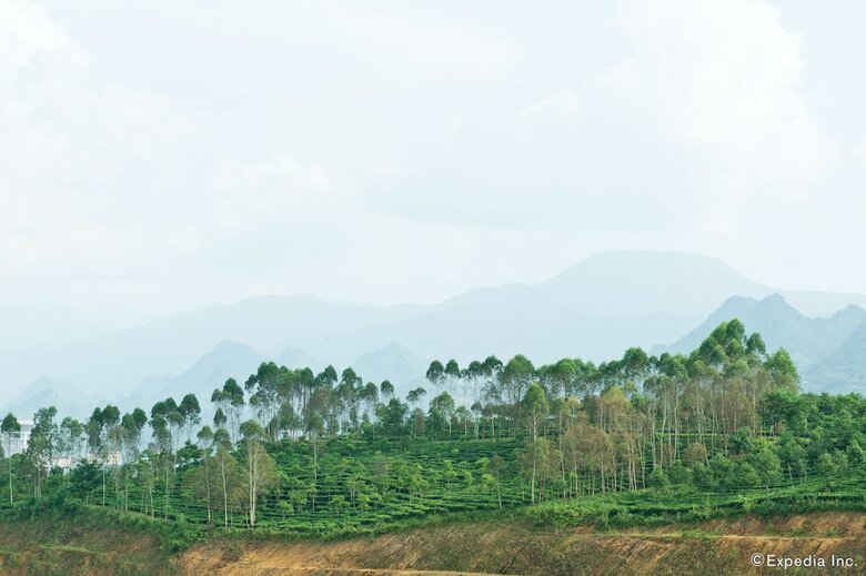 Muong Thanh Lai Chau Hotel