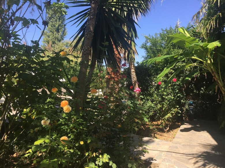 Ilena Hotel