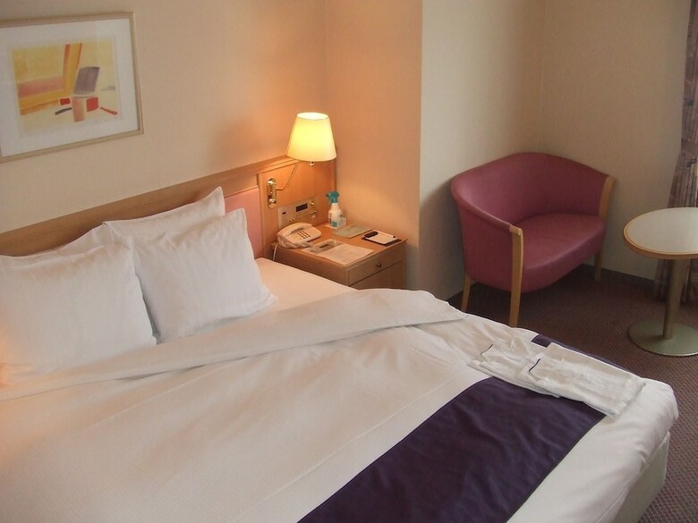 Hotel Lake Alster Alza Izumiotsu