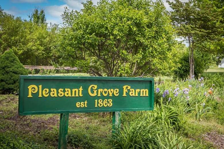 Pleasant Grove Farm