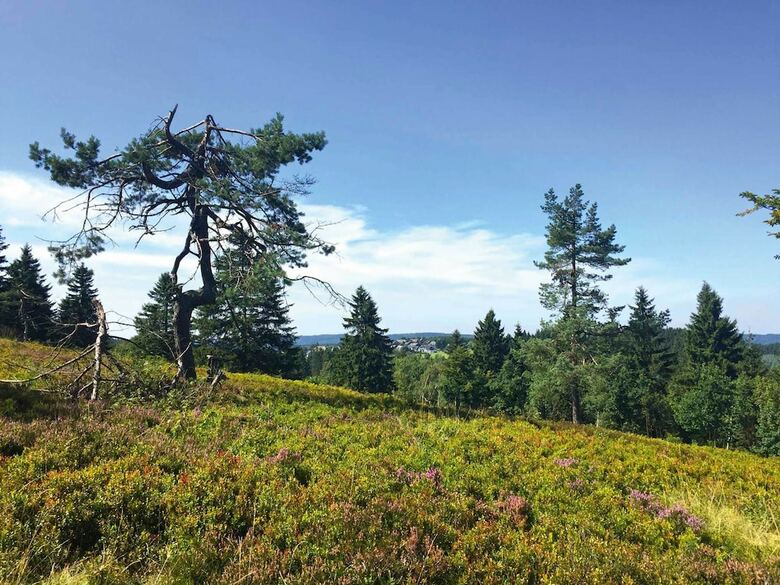 Hotel Der Sch�ne Asten - Resort Winterberg