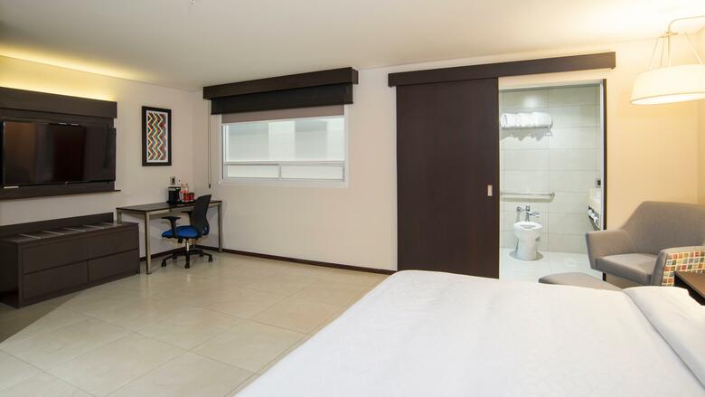 Hotel Holiday Inn Express Mexico Basilica