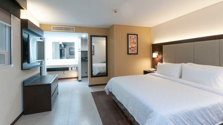 Hotel Holiday Inn Express Mexico Basilica
