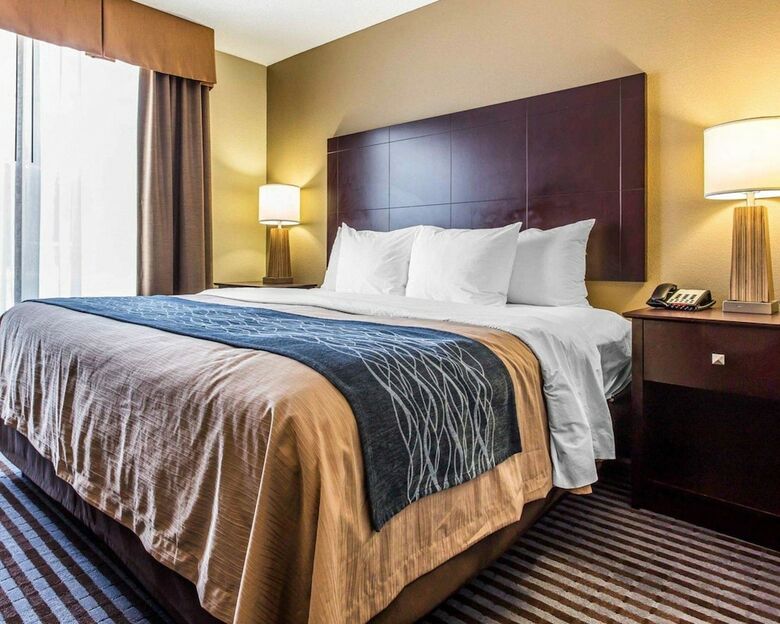 Hotel Comfort Inn & Suites Ballpark Area